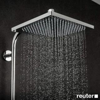 Sen Cây Hansgrohe 27271000 - Hình ảnh 5