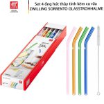 Set Ống Hút Thủy Tinh Màu Sắc 4 Cái Kèm Chổi ZWILLING 23CM