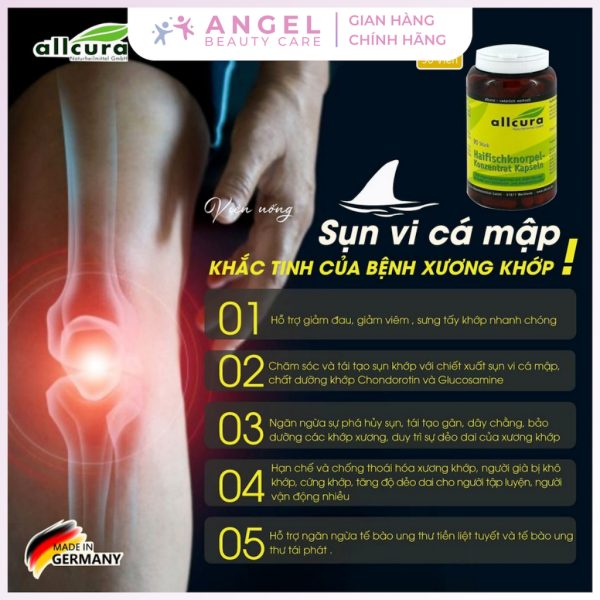 Viên Uống Sụn Vi Cá Mập ALLCURA - Hình ảnh 5
