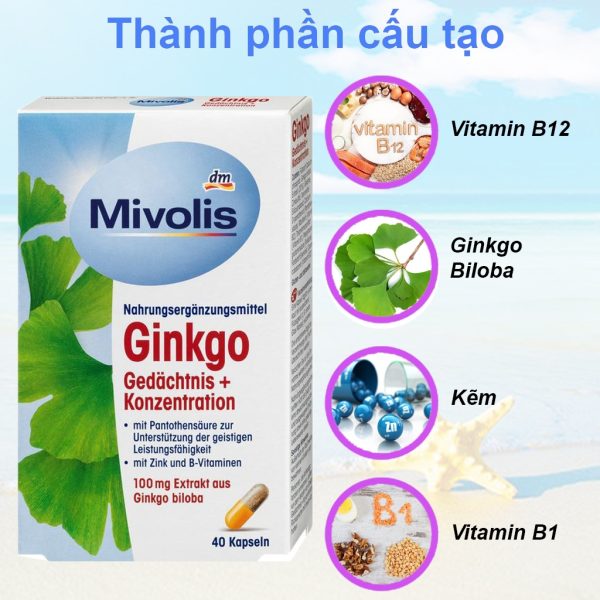 Viên Uống Bổ Não Ginkgo Biloba - Hình ảnh 5