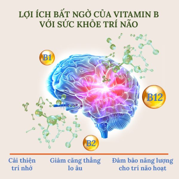 Viên Uống Bổ Não Ginkgo Biloba - Hình ảnh 4