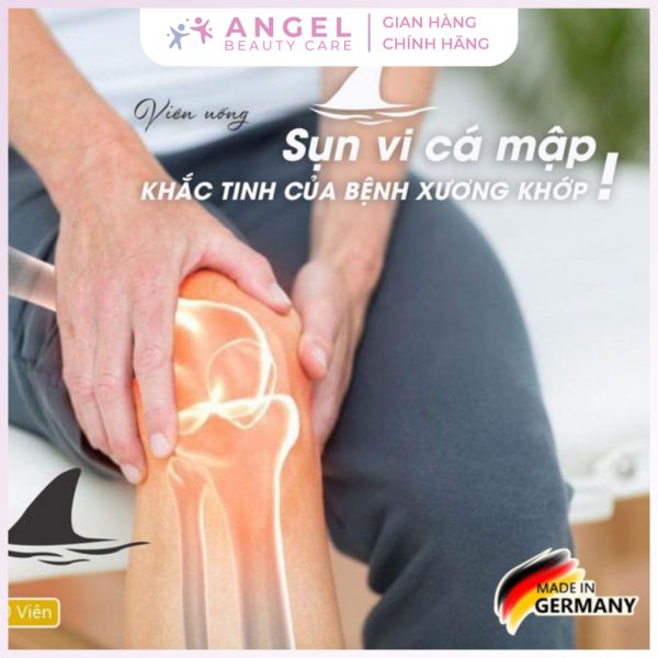 Viên Uống Sụn Vi Cá Mập ALLCURA - Hình ảnh 2