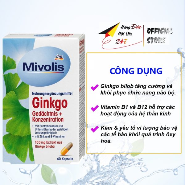 Viên Uống Bổ Não Ginkgo Biloba - Hình ảnh 3