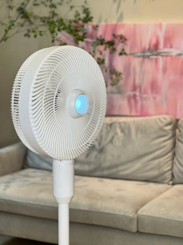 Quạt Cây Phun Sương Tạo Ẩm De Muller - Hình ảnh 2