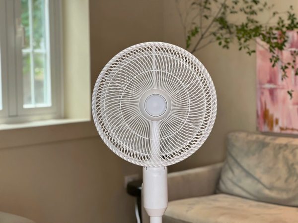 Quạt Cây Phun Sương Tạo Ẩm De Muller - Hình ảnh 9