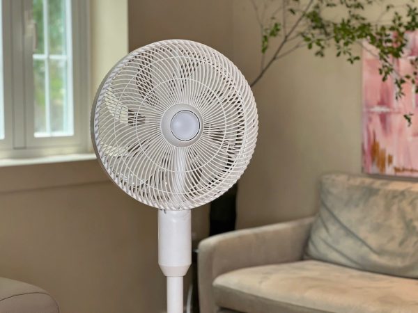 Quạt Cây Phun Sương Tạo Ẩm De Muller - Hình ảnh 12