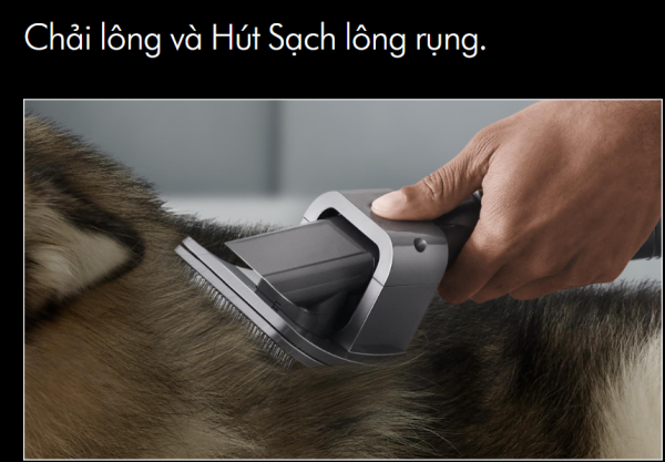 Bộ Dụng Cụ Vệ Sinh Thú Cưng Dyson Pet Grooming Kit - Hình ảnh 6